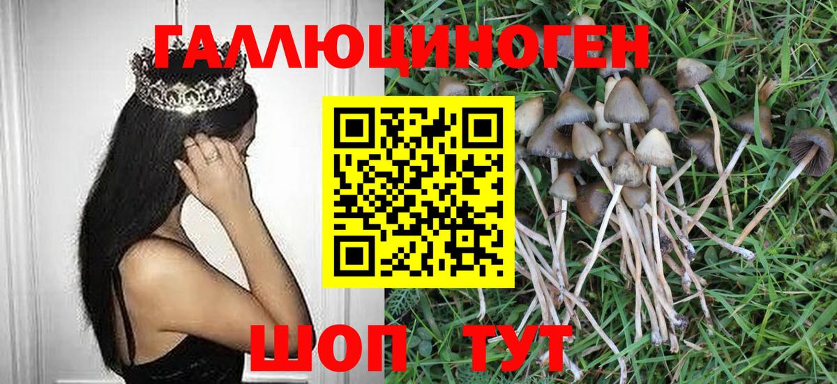Галлюциногенные грибы Cubensis  Вход с VPN  Галлюциногенные грибы MAGIC MUSHROOMS  Ялуторовск 
